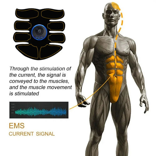Abdominales Rápidos EMS